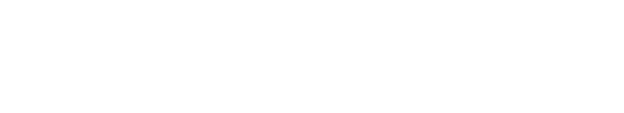 Montenegro — Soluções em TI